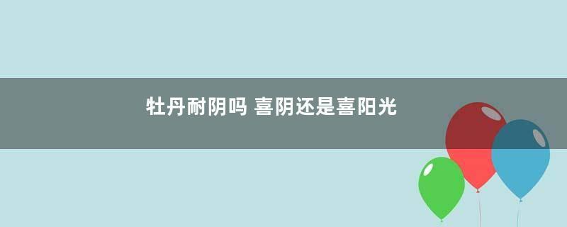 牡丹耐阴吗 喜阴还是喜阳光